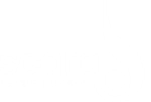 SCARA_BLANC
