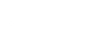 Gemini_Blanc